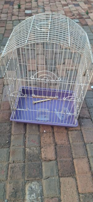 Cockatiel Bird Cage
