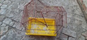 Bird cage