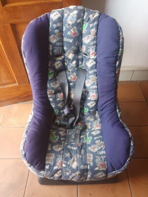 Rodeo Car Seat